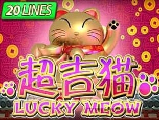 Lucky Meow screenshot