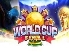 World Cup Final screenshot